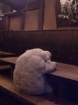 DSC_0123.jpg
